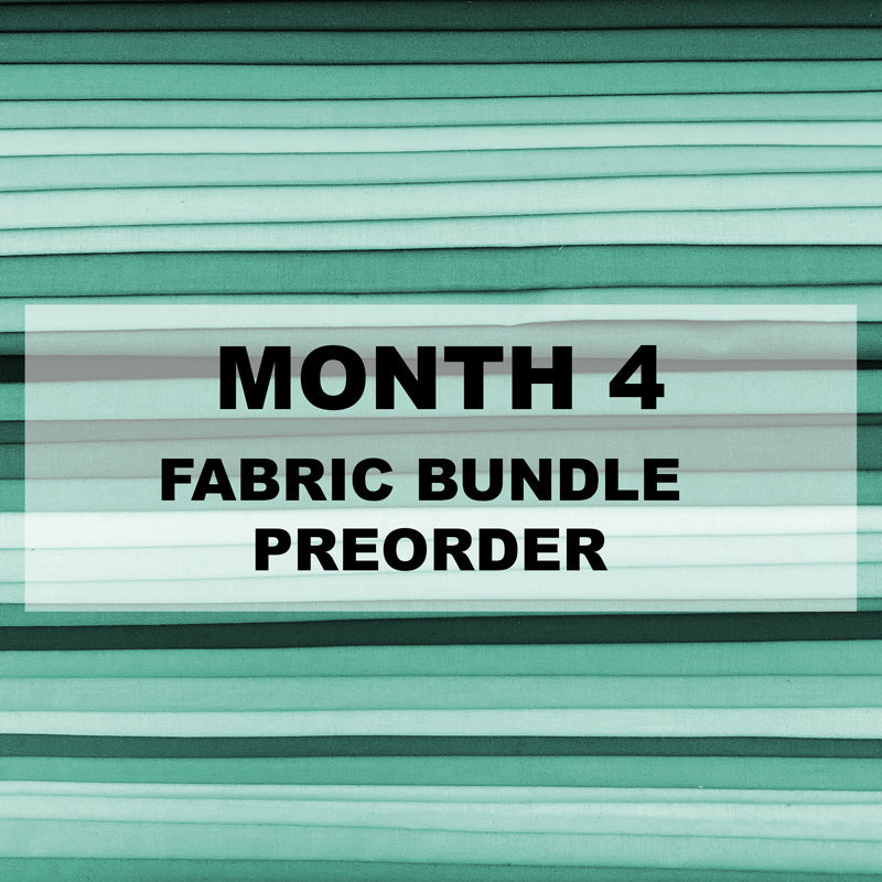 BSC Fabric Bundle: Month 4 PRE-ORDER