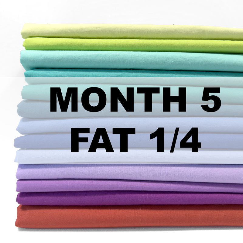 BSC3 Fabric Bundle: Month 5